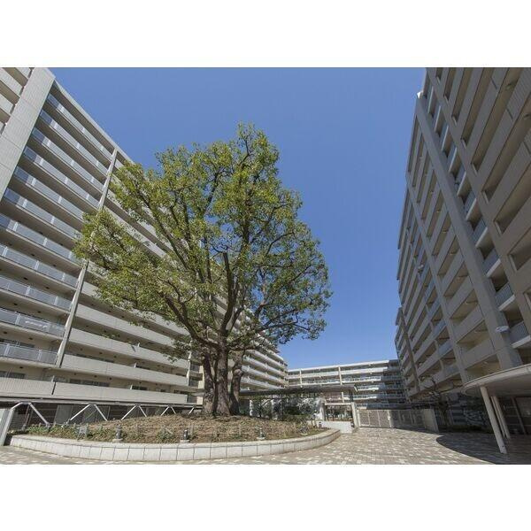 シティコート目黒４号棟の外観|物件の外観です