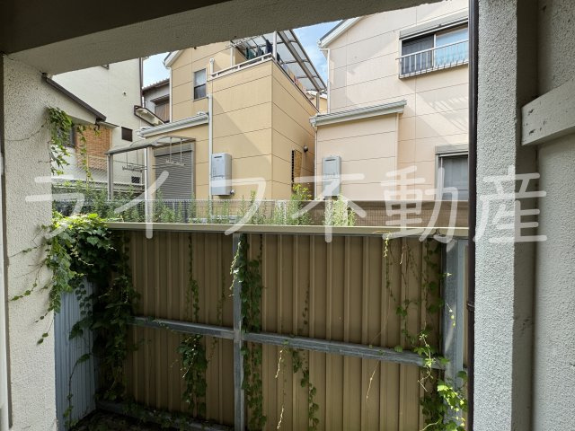北岸文化の展望