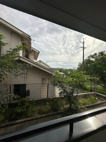フラワーパークの展望