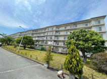 藤阪ハイツＤ六棟の画像