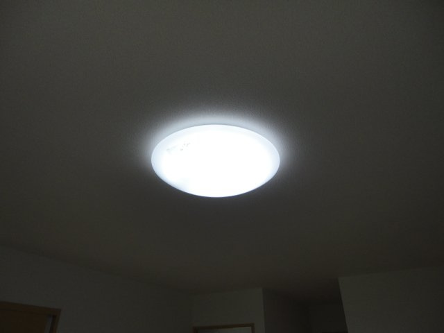 花海棠のその他|照明