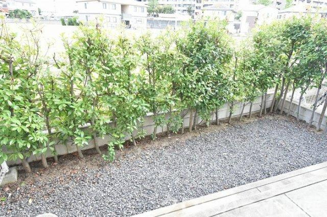 コーヨーハイツⅡ A棟の庭|庭（専用庭）