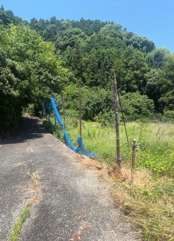 用宗城山町　畑の周辺