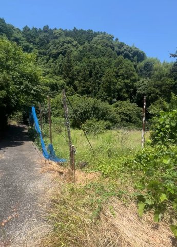 用宗城山町　畑の周辺