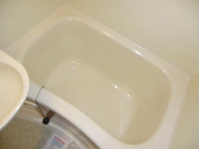 Aurora Court　北野の浴室