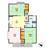 ブエナ・ヴィスタの画像