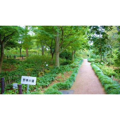 【周辺】 | Ｓコート | 公園「赤塚植物園まで1065ｍ」