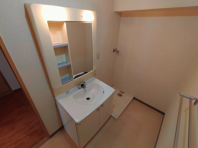 神戸市須磨区戎町２丁目の賃貸マンションの洗面所|洗面ー