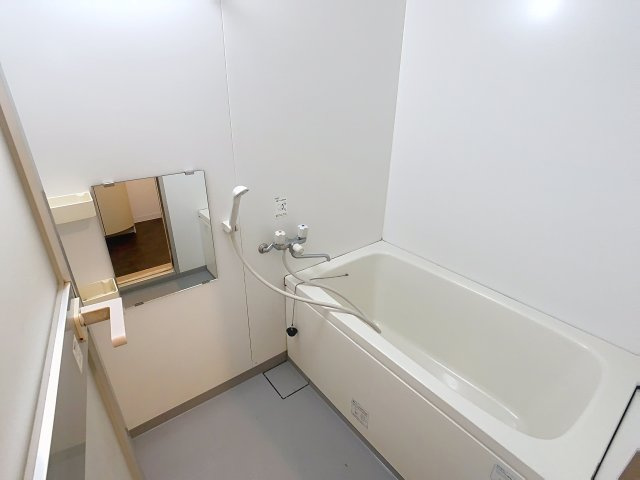 ブルーナ田園の浴室