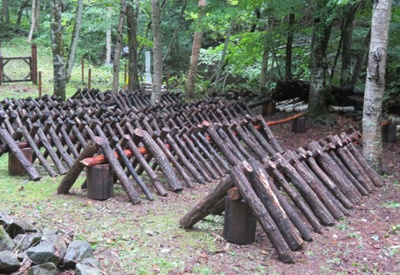 【周辺】 | 天空の別荘地「美しの国」 | きのこ園