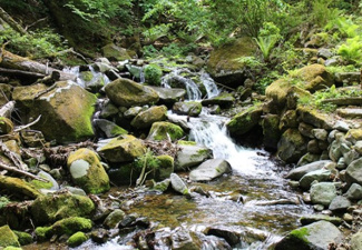 【周辺】 | 天空の別荘地「美しの国」 | 遊歩道