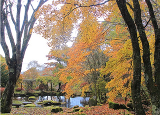 【周辺】 | 天空の別荘地「美しの国」 | 遊歩道