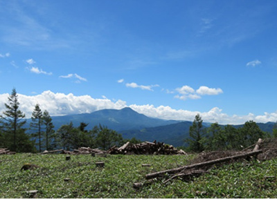 【周辺】 | 天空の別荘地「美しの国」 | 遊歩道
