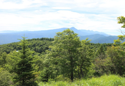 【周辺】 | 天空の別荘地「美しの国」 | 公園
