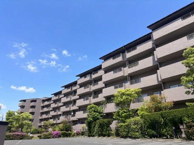 椿ハイツ瀬田川　天然木フルリノベーション