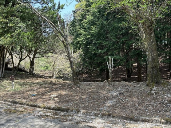 【外観】 | 東急天城高原別荘地　売地