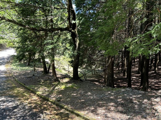 【外観】 | 東急天城高原別荘地　売地