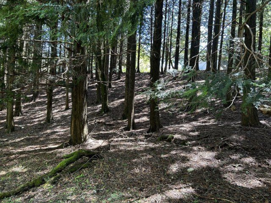 【外観】 | 東急天城高原別荘地　売地