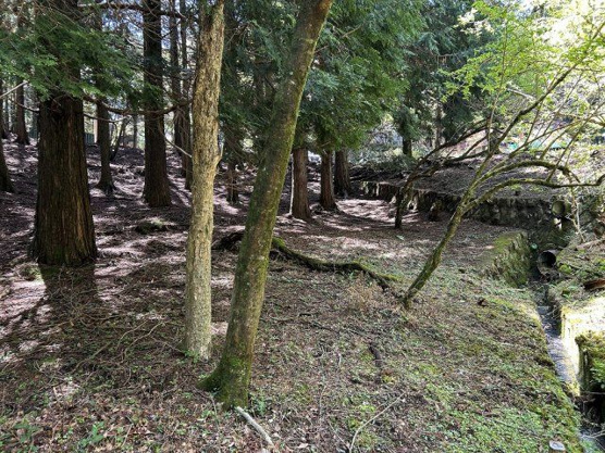 【外観】 | 東急天城高原別荘地　売地