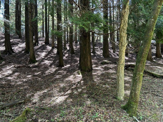 【外観】 | 東急天城高原別荘地　売地