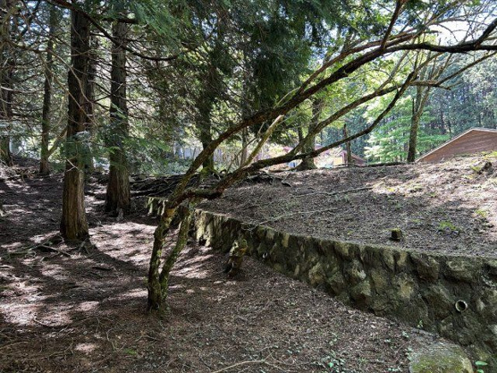 【外観】 | 東急天城高原別荘地　売地