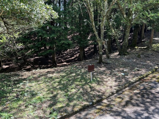 【外観】 | 東急天城高原別荘地　売地