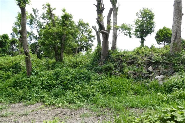 伊豆高原土地