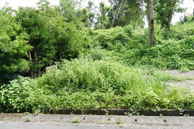 伊豆高原土地