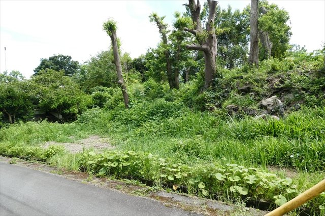 伊豆高原土地