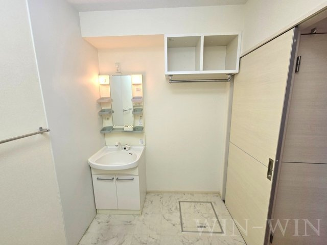 メゾハイネスの洗面所