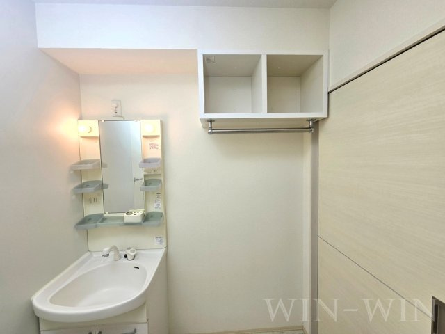 メゾハイネスの洗面所