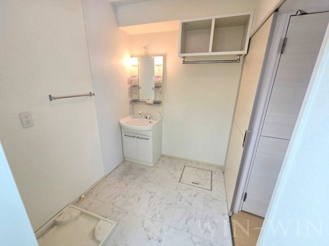 メゾハイネスの洗面所