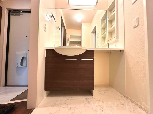 メゾン ラ・ヴェリテ Bの独立洗面台