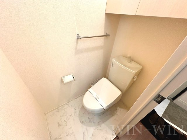 メゾン ラ・ヴェリテ Bのトイレ