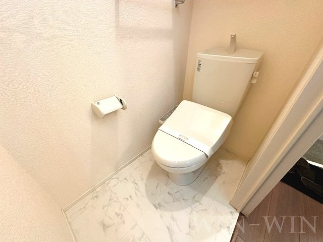 メゾン ラ・ヴェリテ Bのトイレ