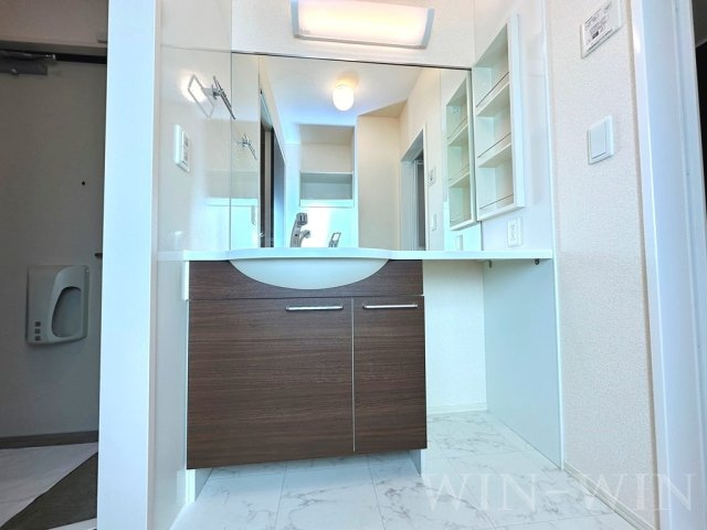 メゾン ラ・ヴェリテ Bの洗面所