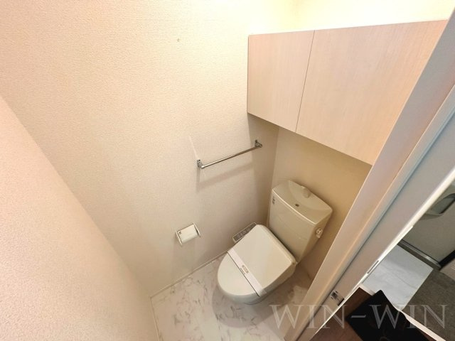 メゾン ラ・ヴェリテ Bのトイレ