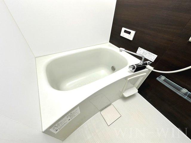 メゾン ラ・ヴェリテ Bの浴室