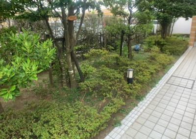 【中庭】 | ソルグランデメイツ多摩境オレンジコート | 中庭（パティオ）とは、一つの建築物の内部に設けられた、壁などで囲われている庭のことを指します。コの字型、ロの字型が主流ですが、L字型の中庭もあります。最近では、インテリア性の高さからも人気があります。