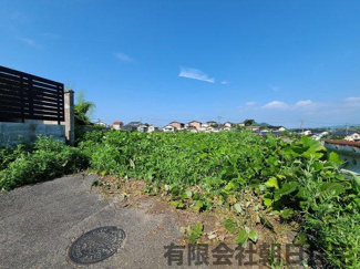 【外観】 | 道路です～