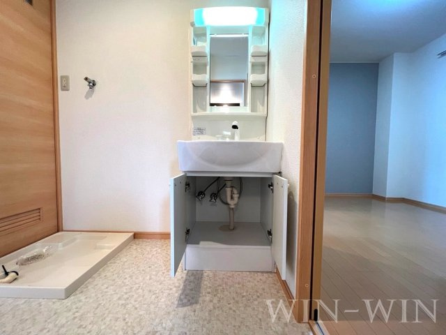 ラヴィータミユキの独立洗面台