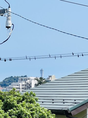 Green Modern― 江ノ島を望むロフトと、無垢の温もり ―の展望