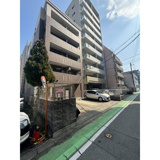 La Luce ynの画像