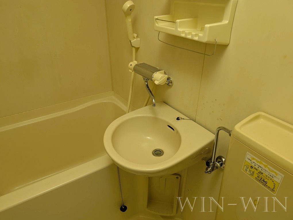 コーポ大池の洗面所