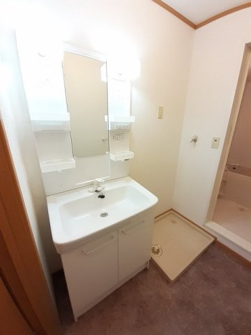 ニューマロンテールＢの洗面所