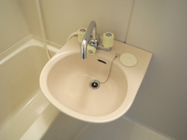 インペリアルむつみの洗面所