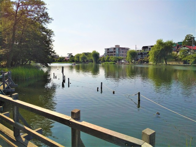 石神井公園まで1000ｍ