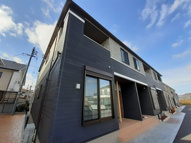 フェリスⅡの画像