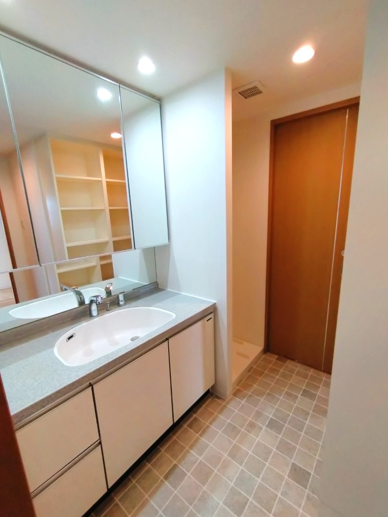 サンクレイドル東海グランデの洗面所