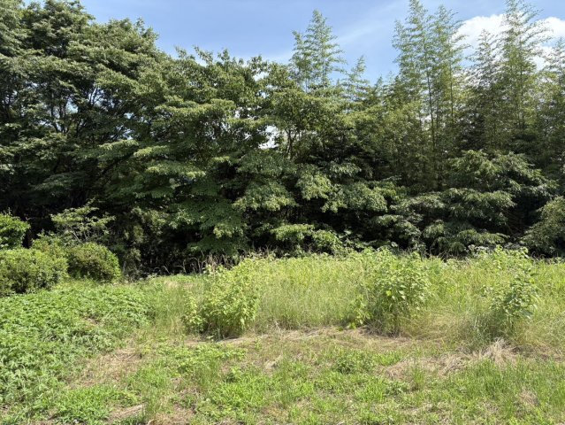 桐生市黒保根町ひまわり団地土地の周辺